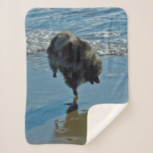 Keesdoorn Ballet-foto - Cute Original Dog Art Sherpa Deken