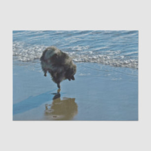 Keesdoorn Ballet-foto - Cute Original Dog Art Tissuepapier