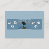 Keesdoorn Ballet-foto - Cute Original Dog Art Visitekaartje (Achterkant)