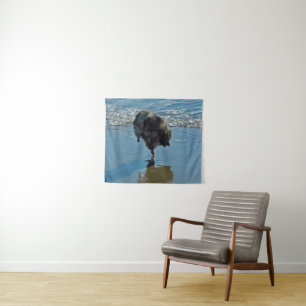 Keesdoorn Ballet-foto - Cute Original Dog Art Wandkleed