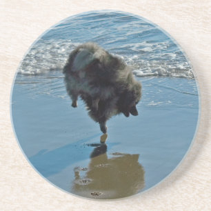 Keesdoorn Ballet-foto - Cute Original Dog Art Zandsteen Onderzetter
