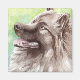 Keeshond Aquarel Portret Magneet