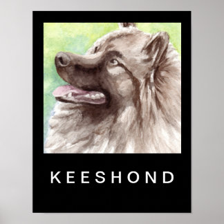 Keeshond Aquarel Portret Poster