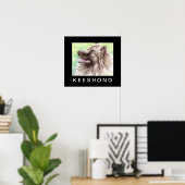 Keeshond Aquarel Portret Poster (Thuiskantoor)