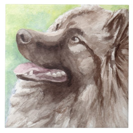 Keeshond Aquarel Portret Tegeltje (Voorkant)