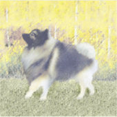 Keeshond Aspen Painting - Cute Original Dog Art Sticker (Voorkant)