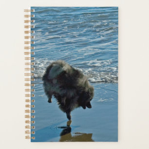 Keeshond Ballet Foto - Schattige Originele Honden Planner
