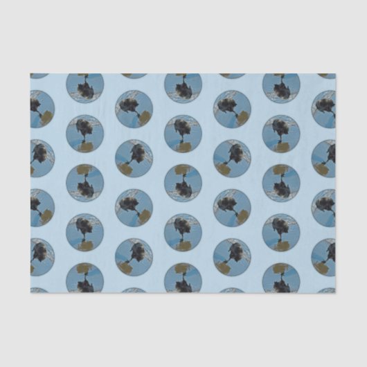 Keeshond Ballet Fotografeer Schattigee Originele H Tissuepapier (Voorkant)