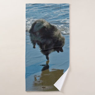 Keeshond Ballet Photographie - Joli chien d'origin