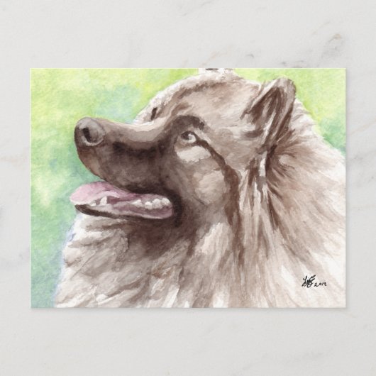 Keeshond Briefkaarten (Voorkant)