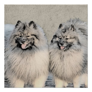 Keeshond Brothers Painting - Original Dog Art Perfect Poster
