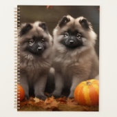 Keeshond Chiot Automne Citrouille délice (Devant)