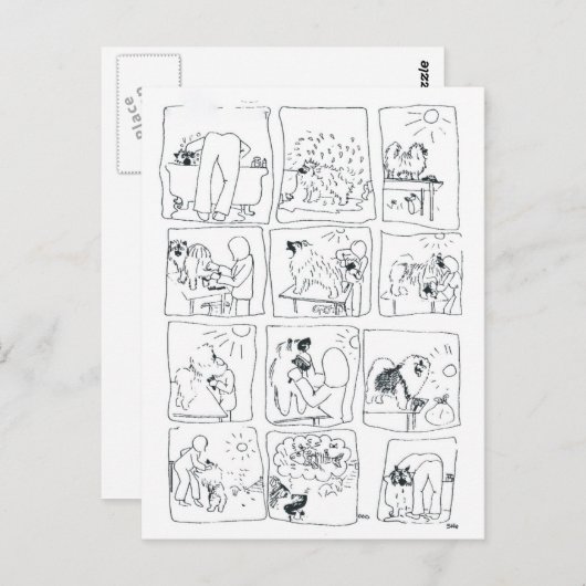 Keeshond comic Bathtime Briefkaart (Voorkant / Achterkant)