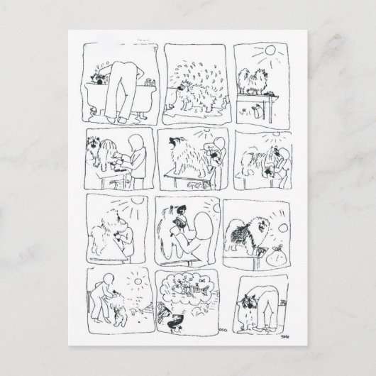 Keeshond comic Bathtime Briefkaart (Voorkant)