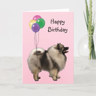 Keeshond, de Ballons van de Verjaardag Kaart
