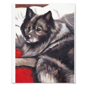 Keeshond Dog Art Print Foto Afdruk
