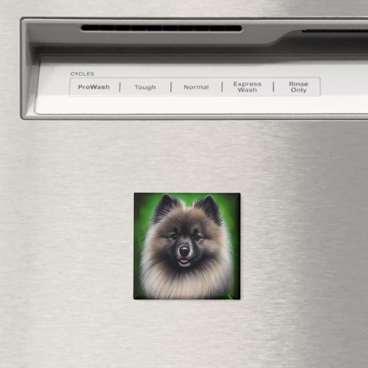 Keeshond Dog in St. Patrick's Day Dress Magneet (Insitu (Vaatwasser))