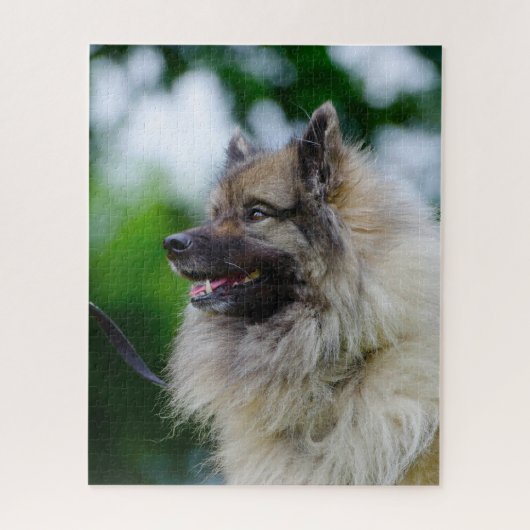 Keeshond Dog. Legpuzzel (Verticaal)