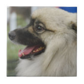 Keeshond Dog Tile Tegeltje (Voorkant)