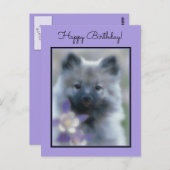Keeshond en Columbine Briefkaart (Voorkant / Achterkant)