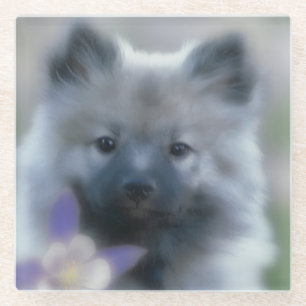 Keeshond en Columbine Glazen Onderzetter
