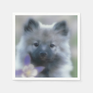 Keeshond en Columbine Servet