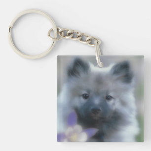 Keeshond en Columbine Sleutelhanger
