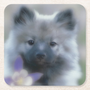 Keeshond en Columbine Vierkante Kartonnen Onderzetter