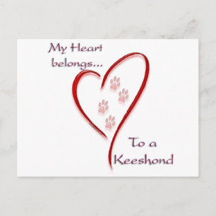 Keeshond Hart behoort Briefkaart