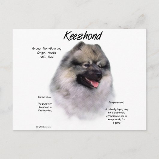 Keeshond History Design Briefkaart (Voorkant)