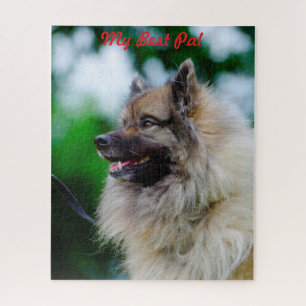 Keeshond hond. legpuzzel