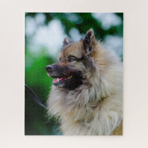 Keeshond hond. legpuzzel