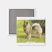 Keeshond Magneet (Voorkant / Achterkant)