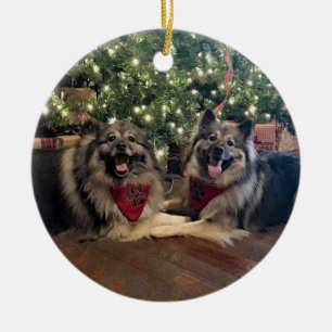 Keeshond met kerstboom keramisch ornament
