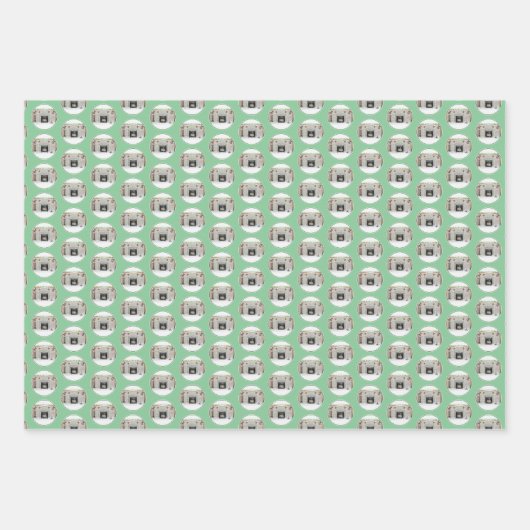 Keeshond met Kerstmis Puppy Dog met Fireplace Pain Inpakpapier Vel (Voorkant)