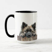 Keeshond Mok (Links)