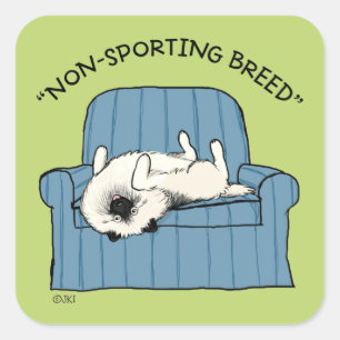 Keeshond niet-sportief ras Funny Keesie Dog Vierkante Sticker