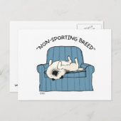 Keeshond "Non-Sporting Breed" Briefkaart (Voorkant / Achterkant)
