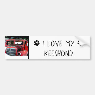 Keeshond Old Truck Paing Art Bumpersticker