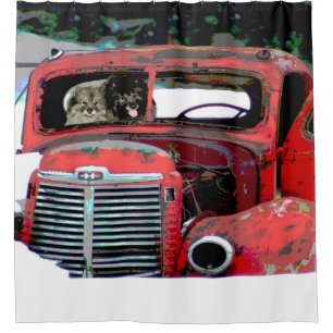 Keeshond Old Truck Paing Art Douchegordijn