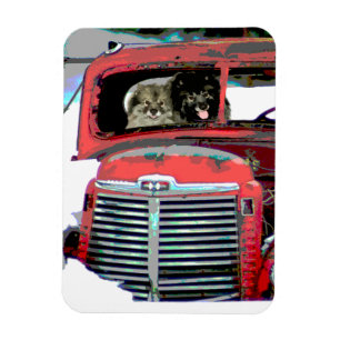 Keeshond Old Truck Paing Art Magneet