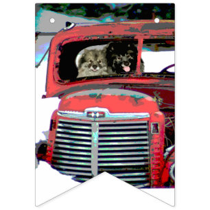 Keeshond Old Truck Paing Art Vlaggetjes