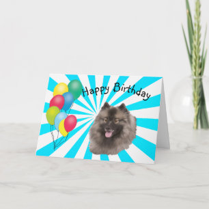 Keeshond op witte Gelukkige Verjaardag Starburst Kaart
