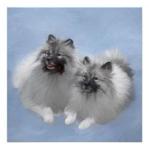 Keeshond Paar Kees Schilderij Originele Dier Kunst Perfect Poster