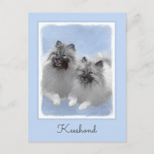 Keeshond Paar Kees Schilderij Originele Dieren Kun Briefkaart