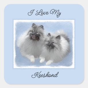 Keeshond Paar van Kees Schilderen Originele Dieren Vierkante Sticker