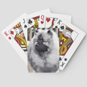 Keeshond Play Cards Speelkaarten