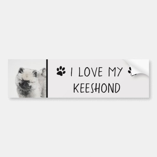 Keeshond Puppy Drawing - Cute Original Dog Art Bumpersticker (Voorkant)