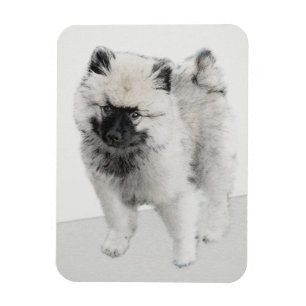 Keeshond Puppy Drawing - Cute Original Dog Art Magneet