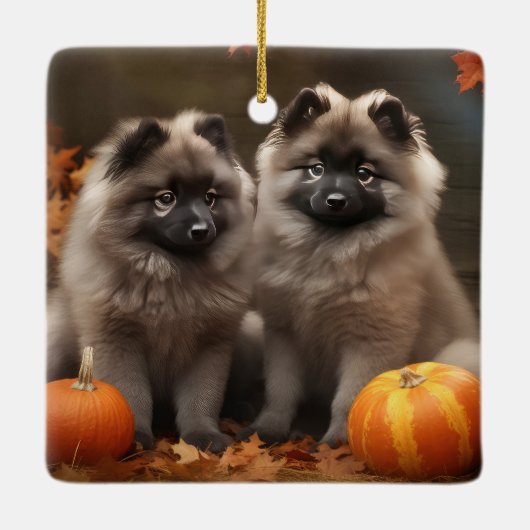 Keeshond Puppy Herfst Delight Pompoen Keramisch Ornament (Achterkant)